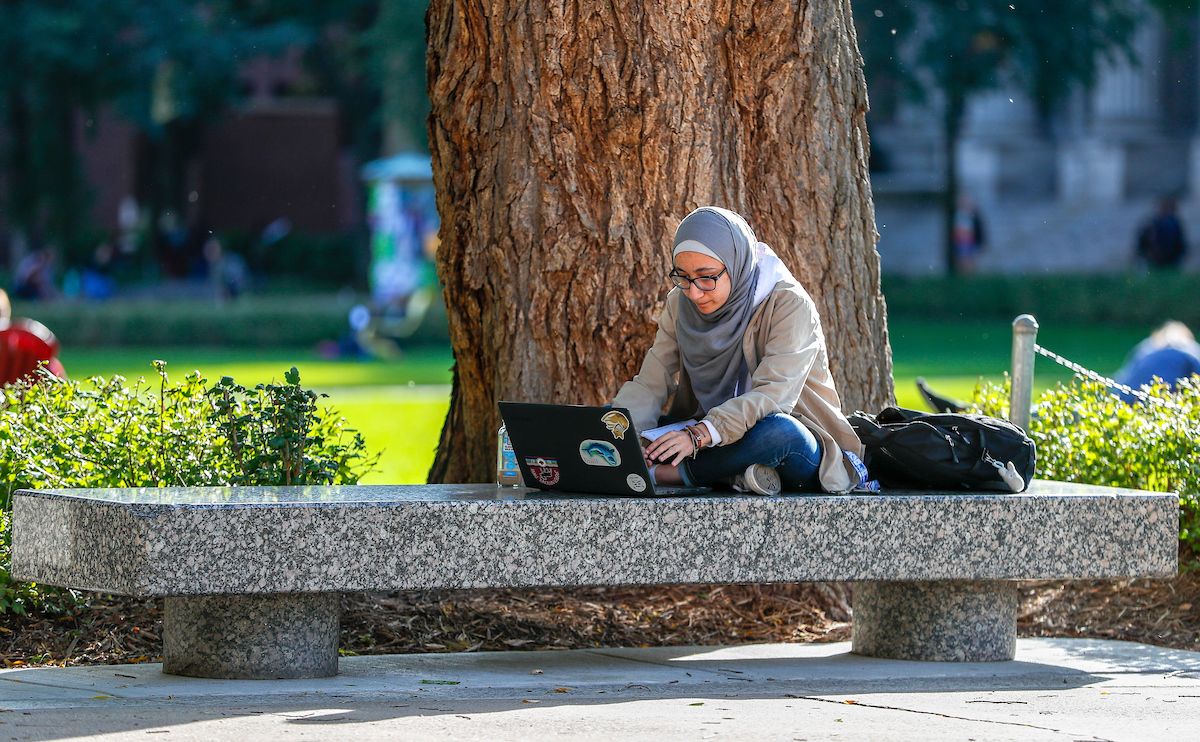 student sitting on a bench by a tree typing on a laptop