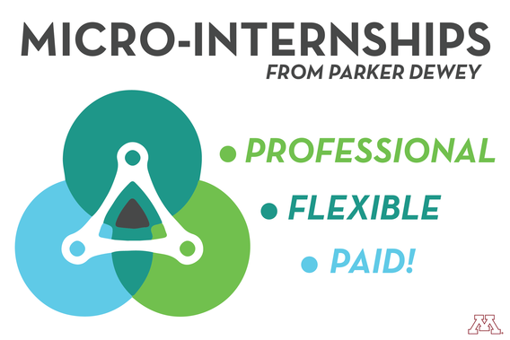 micro internships